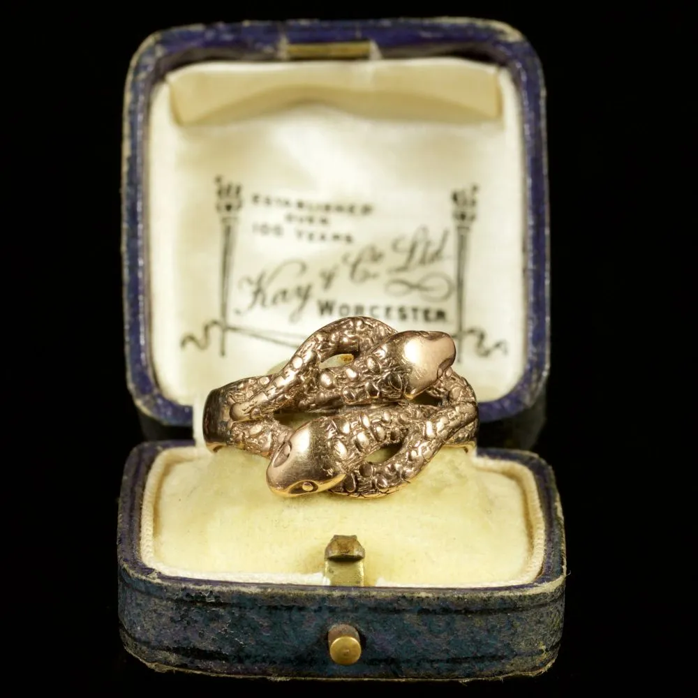 Antique Edwardian Double Snake Ring Unisex 9Ct Dated 1913