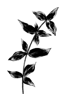 Black Plant Two