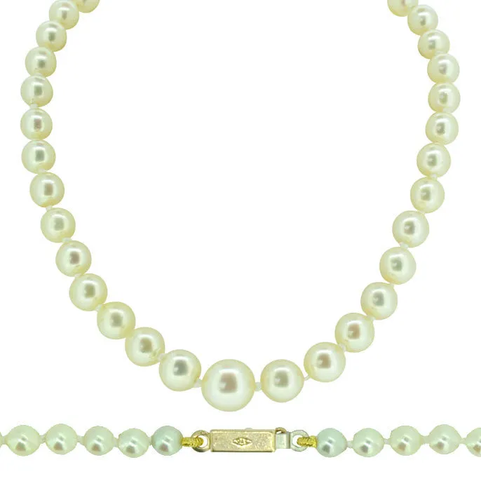 Cultured Pearl Necklace