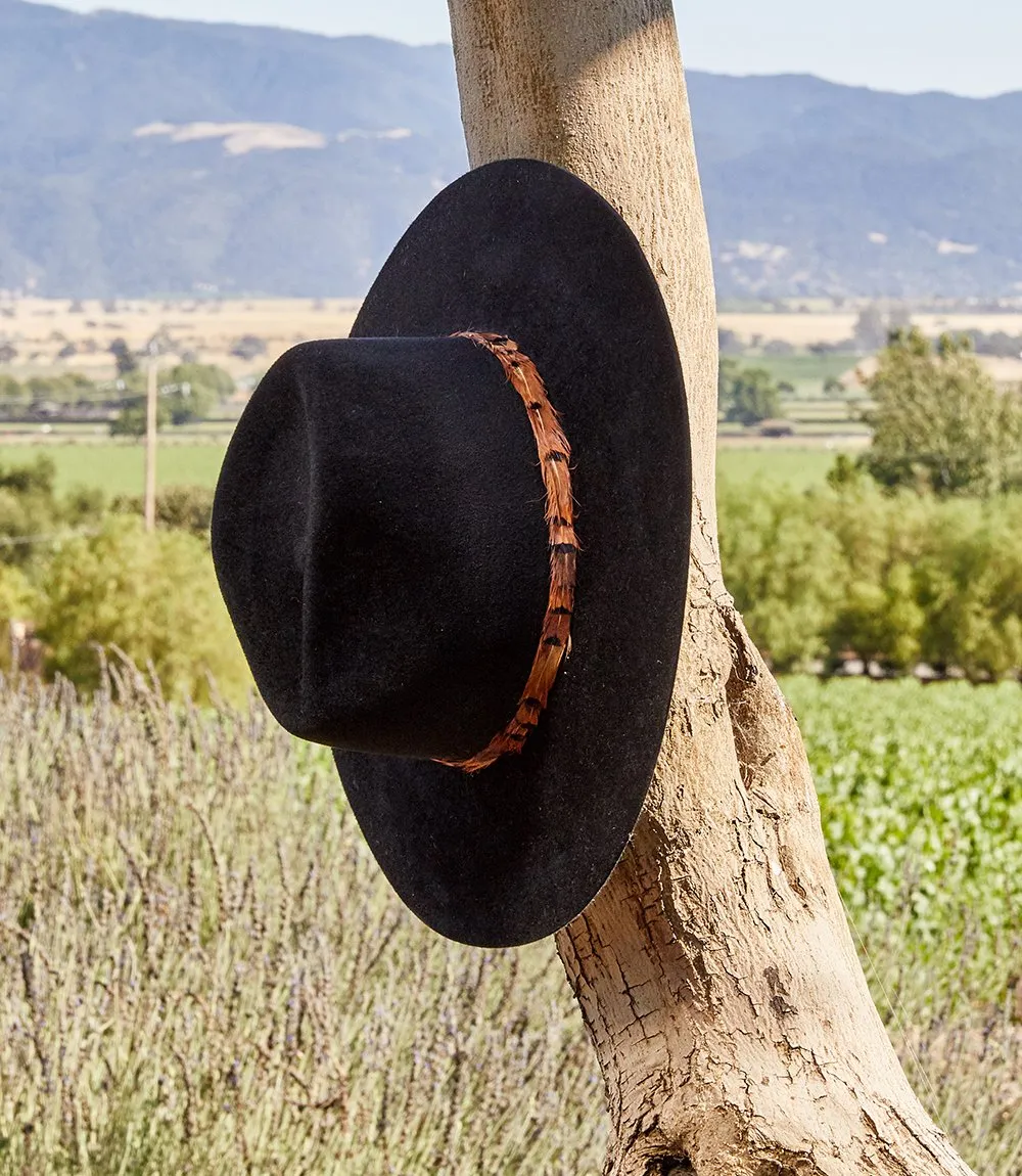 Feather Band Velour Hat